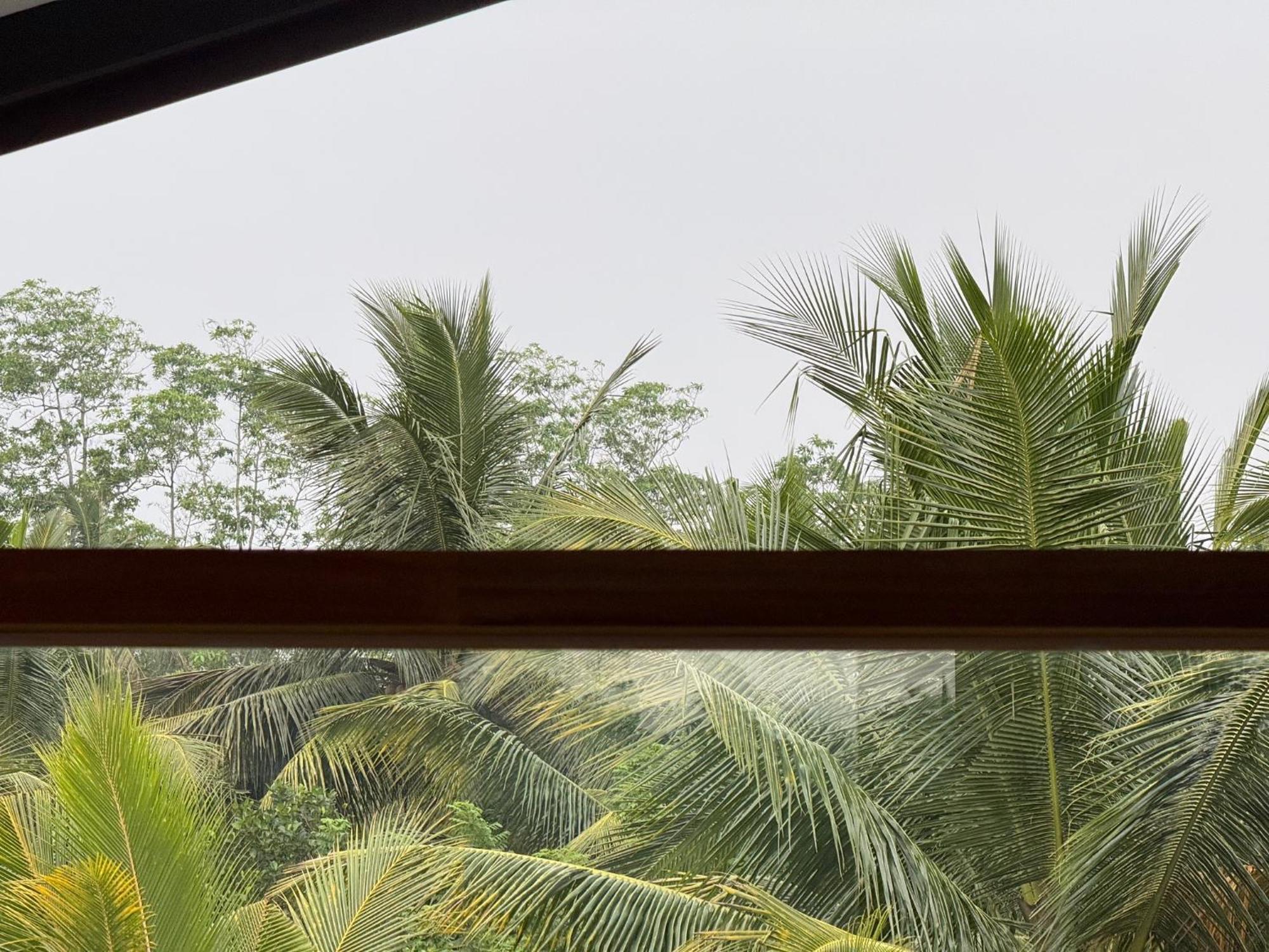 Sri Lanka Surf Villa Domus Graziella Ahangama Eksteriør bilde